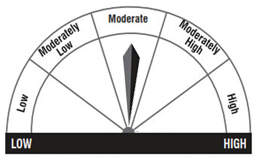 riskometer